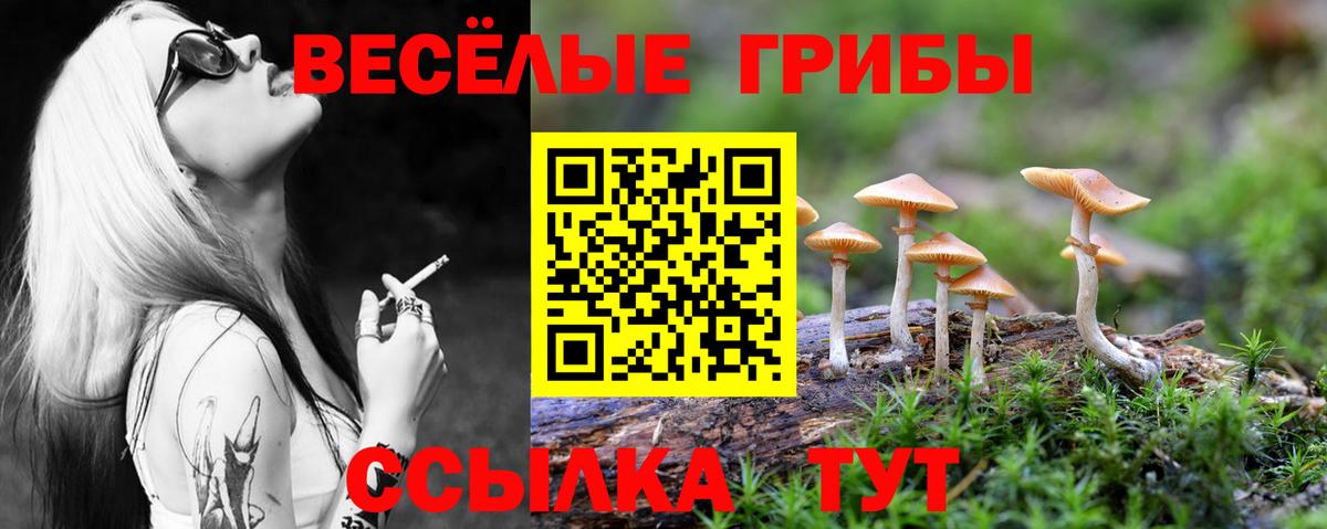 Галлюциногенные грибы MAGIC MUSHROOMS Сланцы