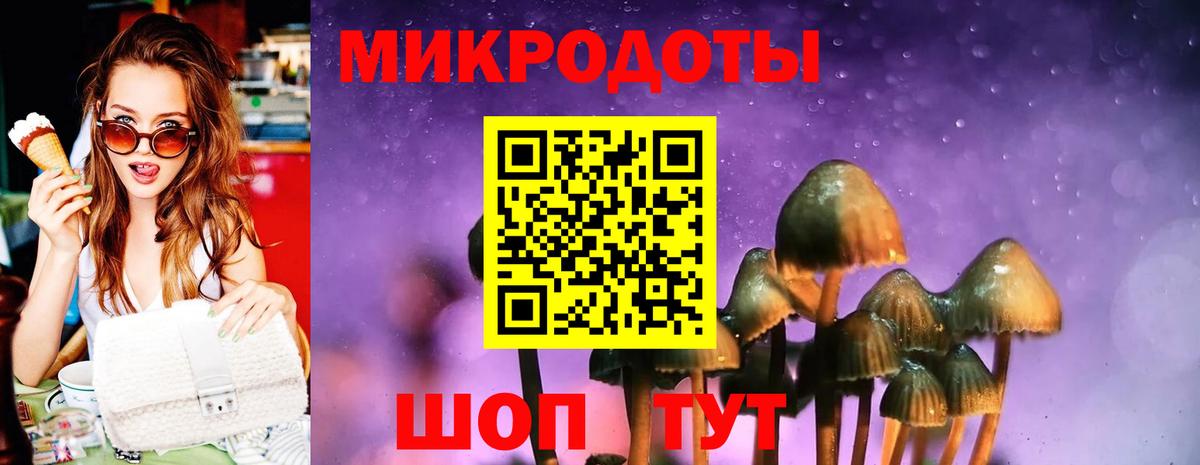 Галлюциногенные грибы прущие грибы  Вход с VPN  Сланцы 